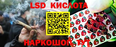 Альфа ПВП Брянск