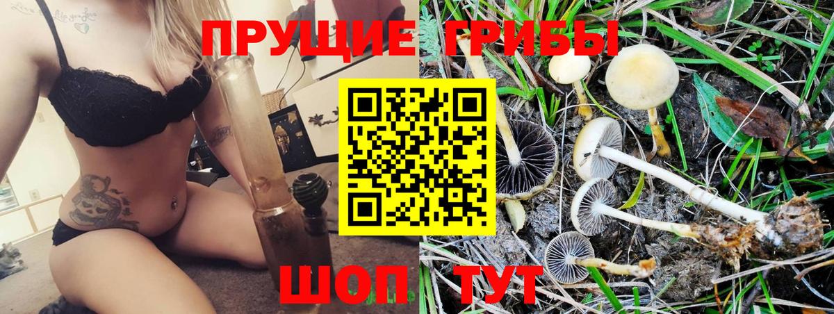 Псилоцибиновые грибы мухоморы  Галлюциногенные грибы Cubensis  Киселёвск  Вход с VPN 