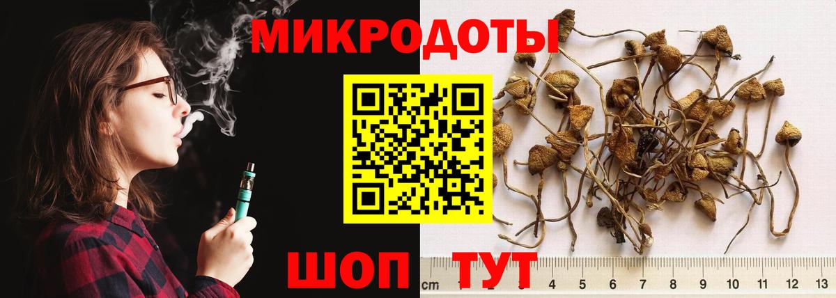 Галлюциногенные грибы Psilocybine cubensis Киселёвск